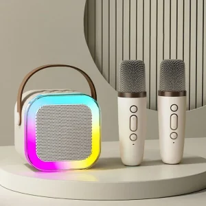Portable Bluetooth Karaoke System with Wireless Mics
