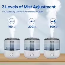 KINSCOTER 3L Large-Capacity Air Humidifier & Aroma Diffuser with Remote & Timer
